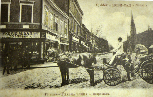 Војвођанске приче: У Дунавској свака кућа споменик